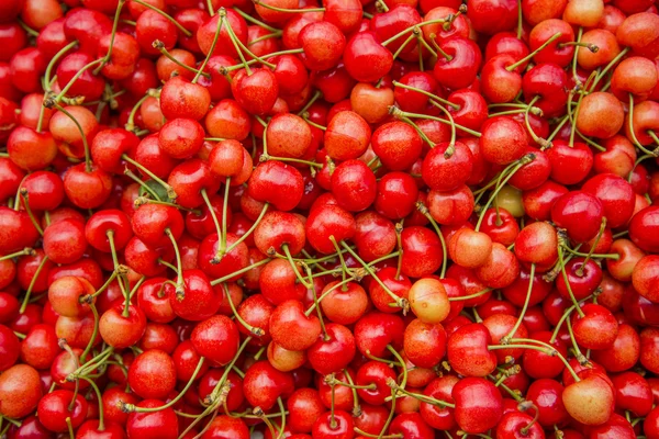 Cerezas dulces — Foto de Stock