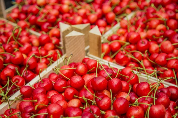 Cerejas doces — Fotografia de Stock