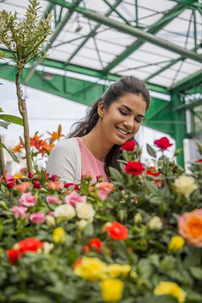 Young woman buying flowers — Stock Photo, Image