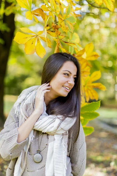 Mujer en bosque de otoño — Foto de Stock