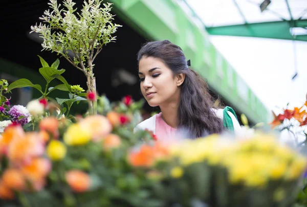 Mujer joven comprando flores —  Fotos de Stock