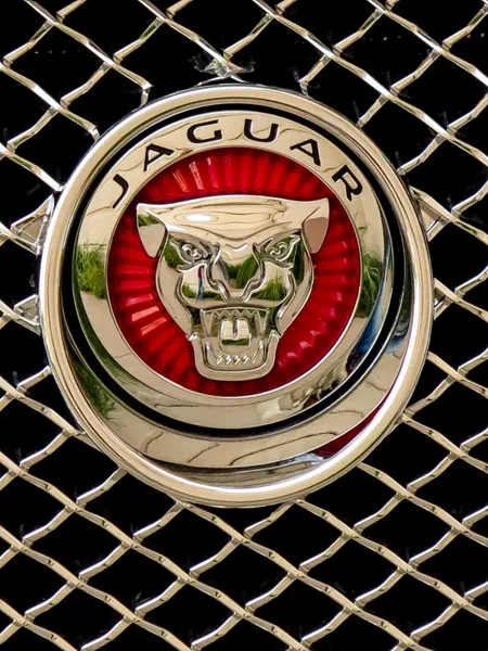 Jaguar auto — Foto Stock