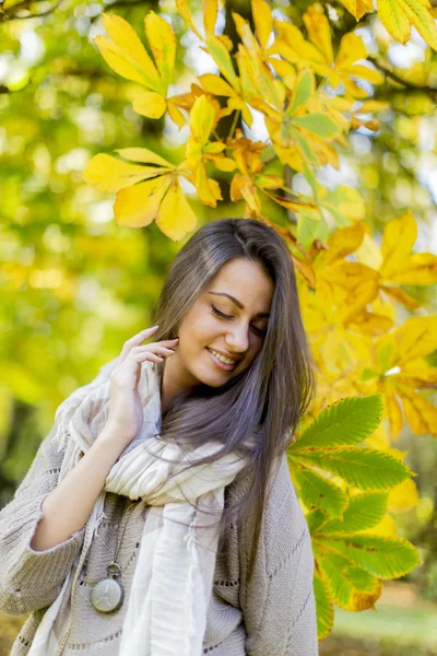 Mujer joven en bosque de otoño — Foto de Stock