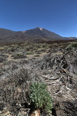 sahne teide Milli Park Tenerife, İspanya