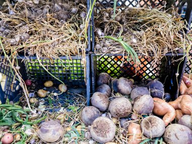 piyasada bulunan organik sebze