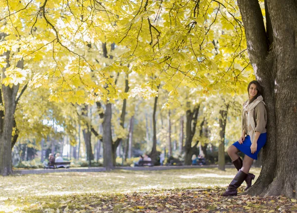 Young woman at autumn park — Stock Photo, Image