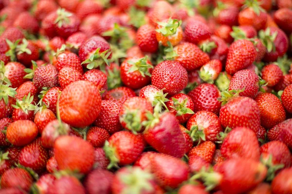 Färska jordgubbar på marknaden — Stockfoto
