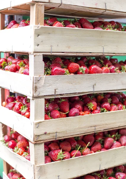 Färska jordgubbar på marknaden — Stockfoto