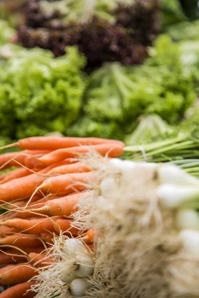 Fresh vegetables on the market — Stock Photo, Image