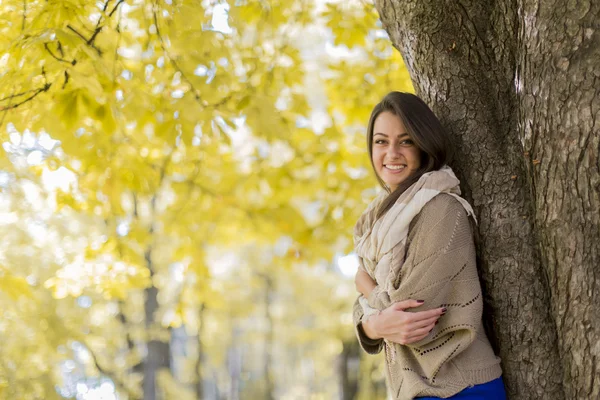 Jovem mulher na floresta de outono — Fotografia de Stock