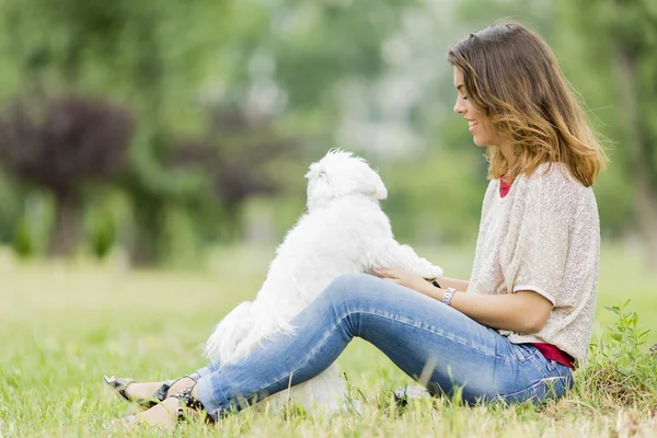 Köpekli genç bir kadın. — Stok fotoğraf