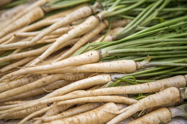 Parsley — Stock Photo, Image