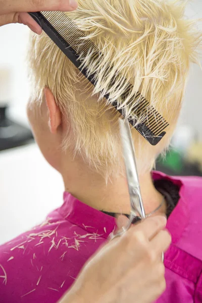 Young woman at hairdresser — Stock Photo, Image