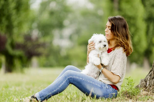 犬を連れた若い女性は — ストック写真