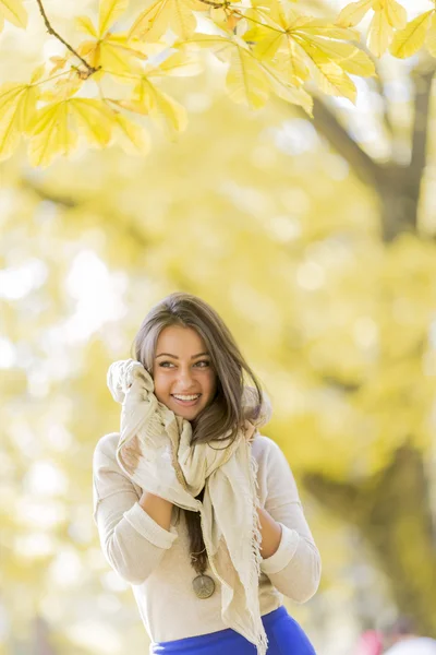 Junge Frau im herbstlichen Wald — Stockfoto