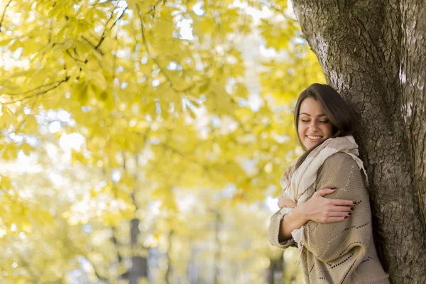 秋の森で若い女性 — ストック写真