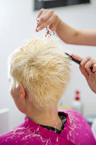Young woman at hairdresser — Stock Photo, Image