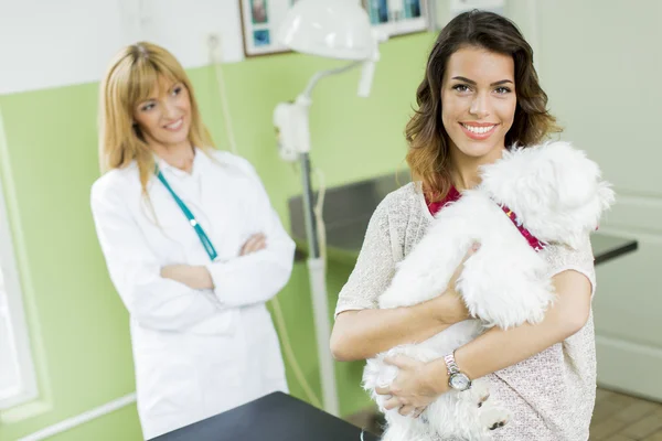 Γυναίκα με ένα σκυλί στο κτηνίατρος — Φωτογραφία Αρχείου