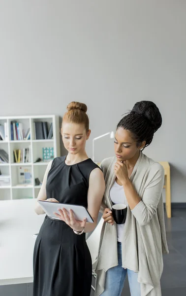 Mujeres jóvenes en la oficina — Foto de Stock