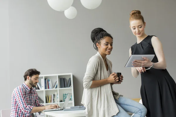 Young people in the office — Stock Photo, Image