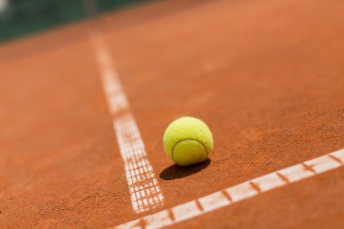 Tenis
