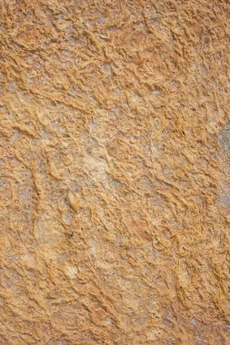 Salt göl arkaplanının yakınına.