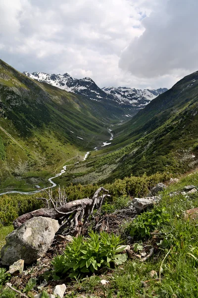 Corriente de montaña — Foto de Stock