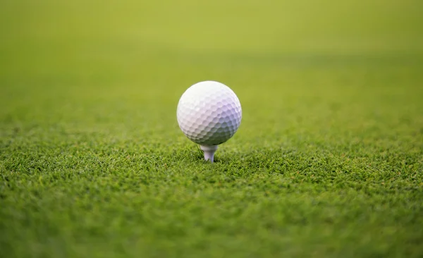 Palla da golf — Foto Stock