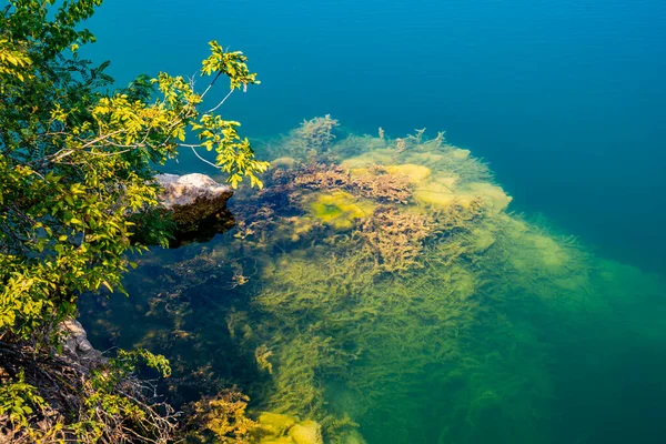 Vista Lago Grliste Cerca Zajacar Este Serbia —  Fotos de Stock