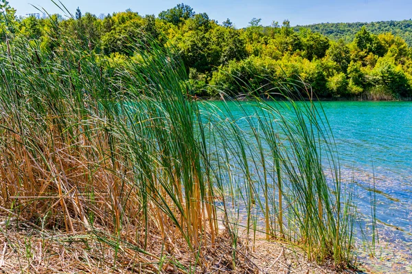 Вид Озеро Грбач Возле Заячара Восточной Сербии — стоковое фото