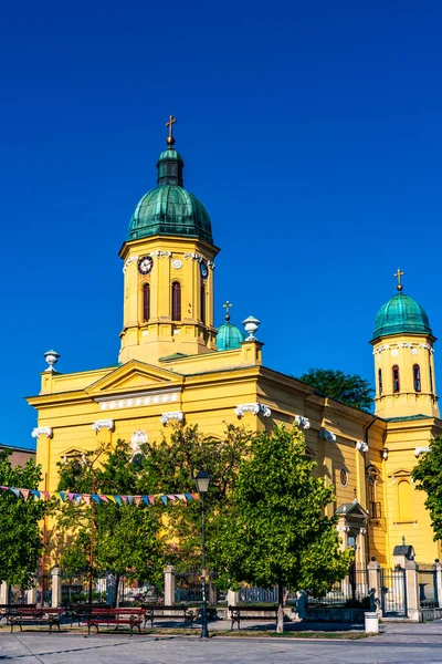 Uitzicht Heilige Drievuldigheidskerk Negotin Oost Servië — Stockfoto