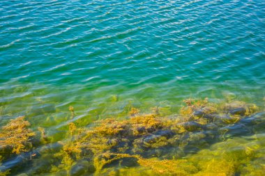 Doğu Sırbistan 'daki Zajacar yakınlarındaki Grliste gölüne bak