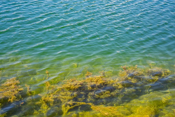 Vista Grliste Lago Perto Zajacar Leste Sérvia — Fotografia de Stock