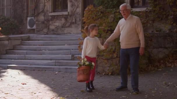 爷爷和他可爱的小孙女在一起玩 孙女拿着装满鲜花的篮子 — 图库视频影像