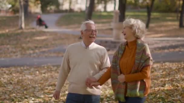 Pasangan Senior Jatuh Cinta Menghabiskan Waktu Pada Tanggal Taman Musim — Stok Video