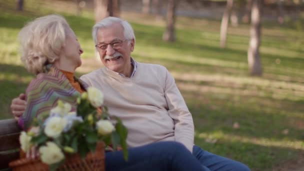 Senior Paar Liefde Besteden Tijd Date Herfst Park — Stockvideo