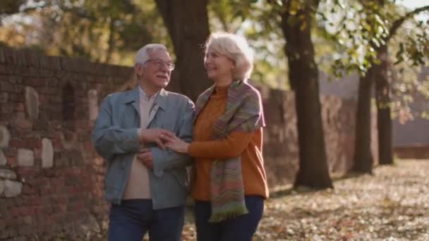 Pasangan Senior Jatuh Cinta Menghabiskan Waktu Pada Tanggal Taman Musim — Stok Video