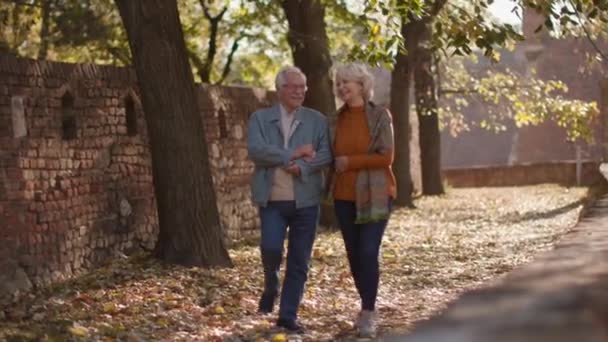 Senior Paar Liefde Besteden Tijd Date Herfst Park — Stockvideo