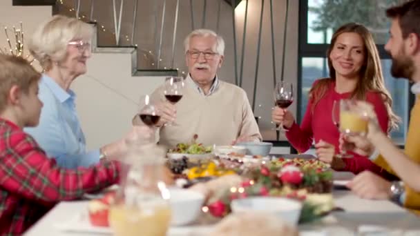 Счастливая Семья Ужинает Красным Вином Дома — стоковое видео