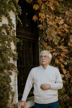 Sağlıklı kıdemli adam, sonbahar günü pencerenin yanında duruyor.