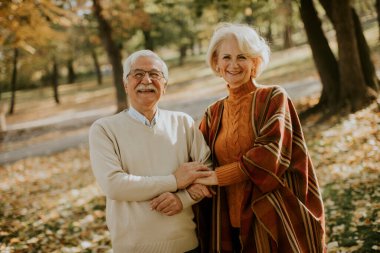 Güz parkında kucaklaşan yakışıklı yaşlı çift.