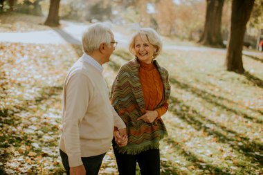 Güz parkında yürüyen yakışıklı yaşlı çift.