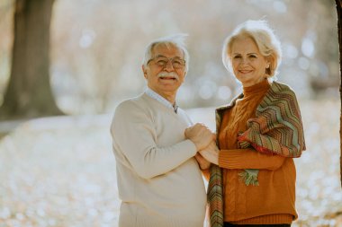 Güz parkında kucaklaşan yakışıklı yaşlı çift.