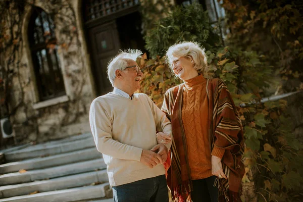 Hermosa Pareja Ancianos Caminando Parque Otoño — Foto de Stock