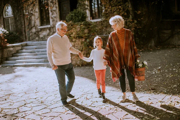 Nonni Godendo Buon Tempo Con Loro Piccola Nipote Carino — Foto Stock