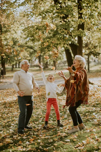 Abuelos Disfrutando Buen Rato Con Linda Nieta —  Fotos de Stock