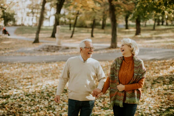 Hermosa Pareja Ancianos Caminando Parque Otoño — Foto de Stock