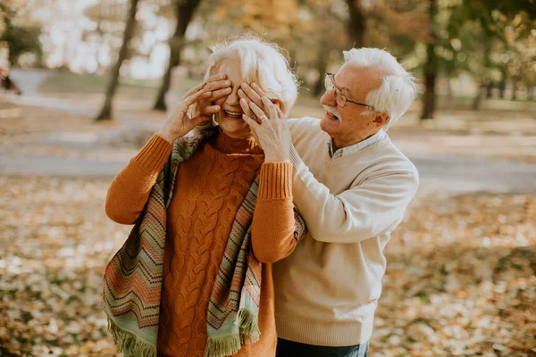 Красивая Пожилая Пара Обнимающаяся Осеннем Парке — стоковое фото