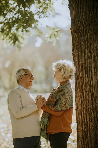 Hermosa Pareja Ancianos Abrazándose Parque Otoño — Foto de Stock