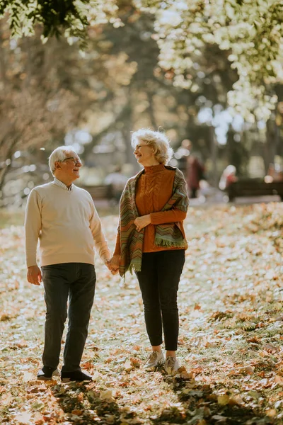 秋の公園を歩くハンサムなシニアカップル — ストック写真